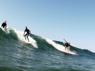 Grupo de surfers